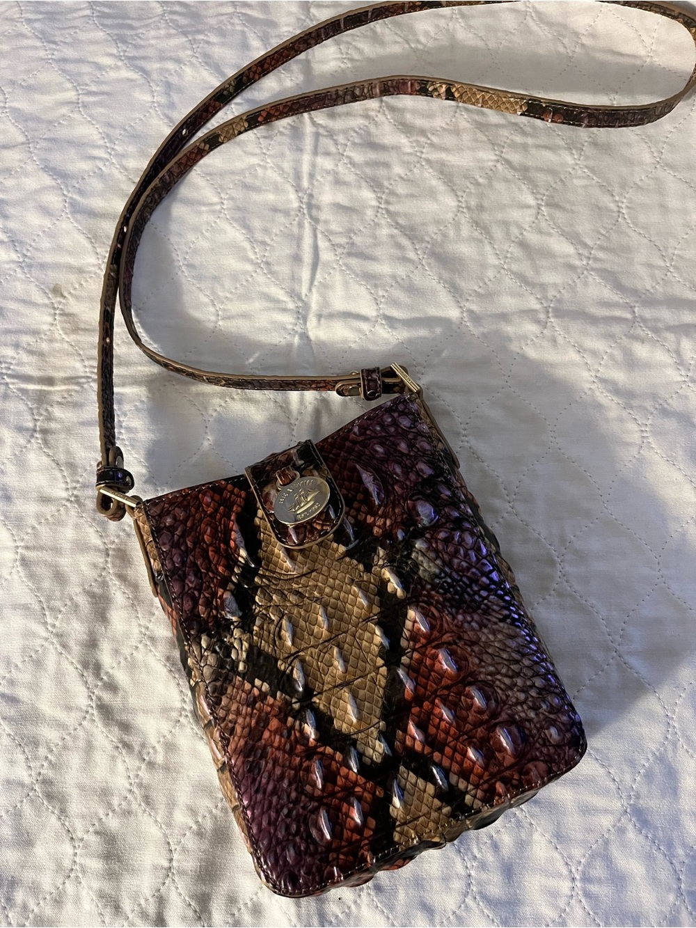 Snake-Embossed Crossbody Bag in Brown Multi - Picture 1 of 2